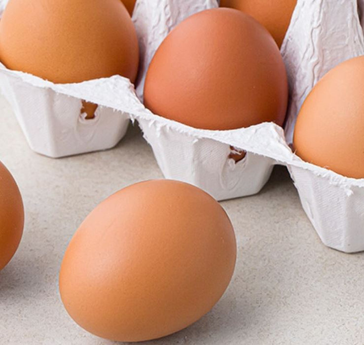Farmer Brown Size 7 Eggs 12ea (New Zealand Farm Fresh Colony Eggs)