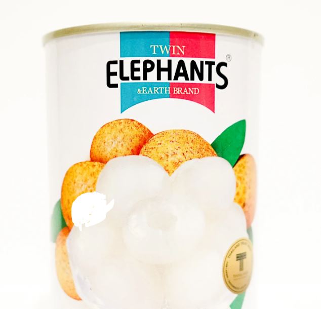 Twin Elephants Longan in Syrup 565g
